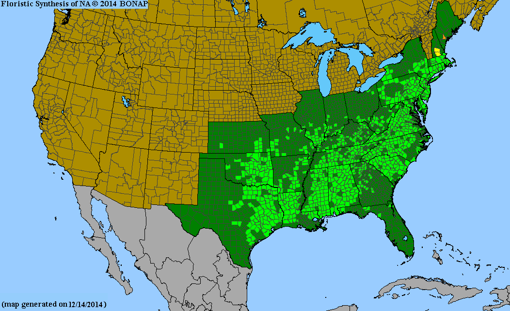 County distribution map of Symphyotrichum patens var. patens - Late Purple American-Aster